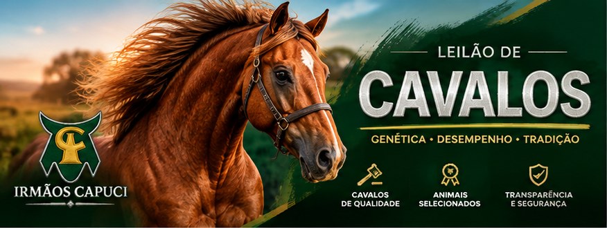 Leilão de Cavalos